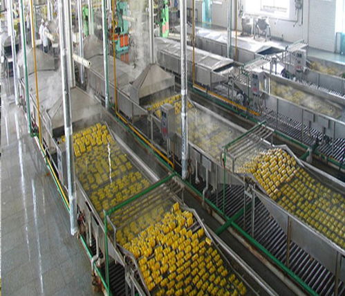 平邑3家黄桃罐头厂被查封 山东平邑3家黄桃罐头厂遭查封 食品安全触目惊心