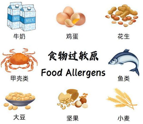禁用 不添加 零添加 ,强制标示致敏物质 50项食品安全国家标准发布