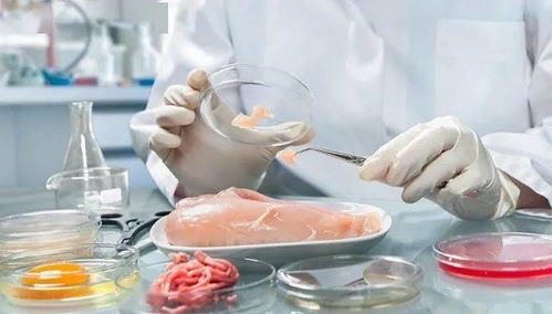 今教师节 国庆假期高速公路免费时间延长 食品安全 吹哨人 最高奖50万 微信出新花样
